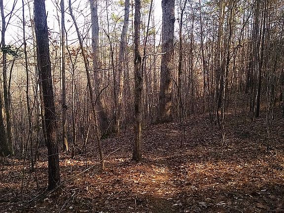 4th image of 1544 Breeders Hill Dr
