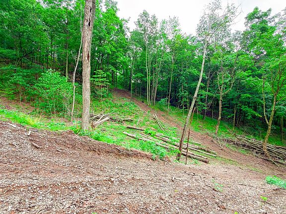 4th image of 0 Lower Twin Rd