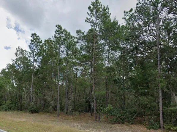 108 W Hillsborough Ave, Florahome, FL 32140