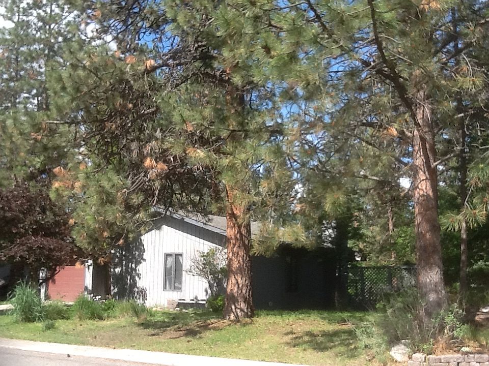 2nd image of 3917 Timberlane St