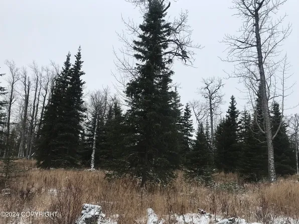 65145 Glenwood Ave, Ninilchik, AK 99639