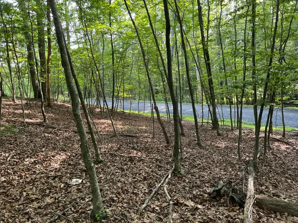Yukon Dr, East Stroudsburg, PA 18302