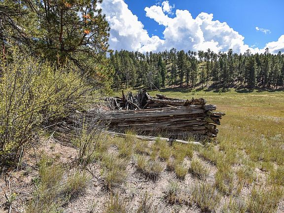 5th image of Jemez Mountain Forest Rd #10