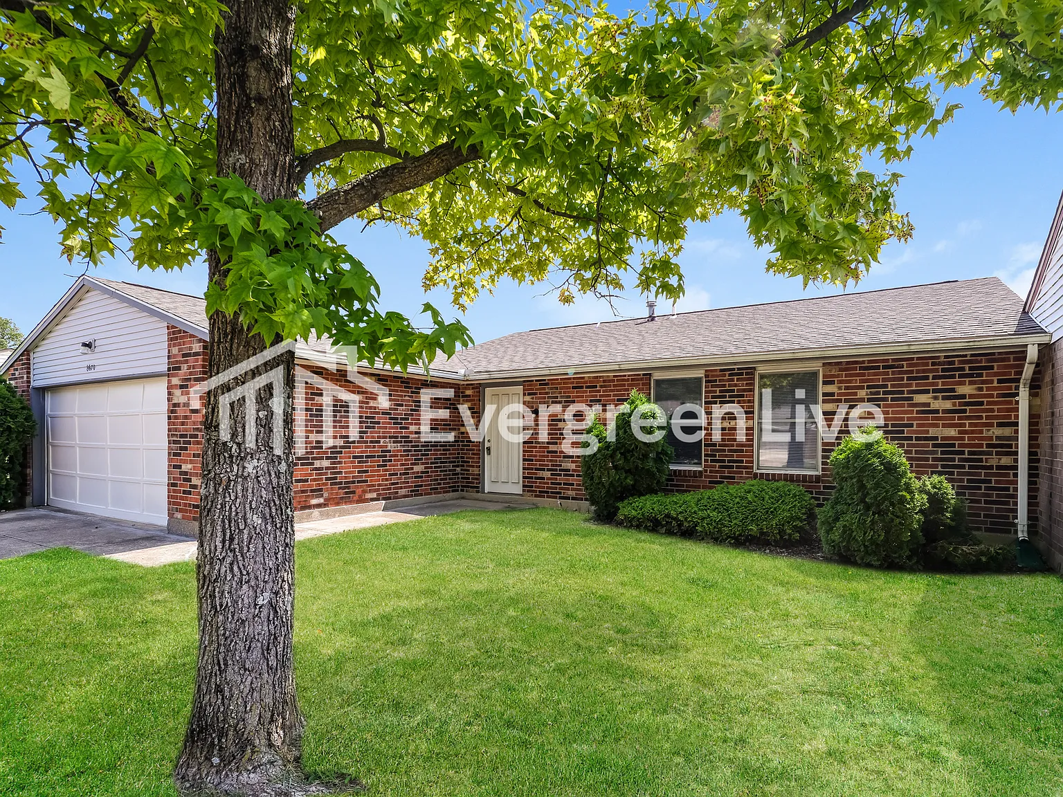 3 bed, 1.0 bath, 1170 sqft, $1,195 — Photo 2