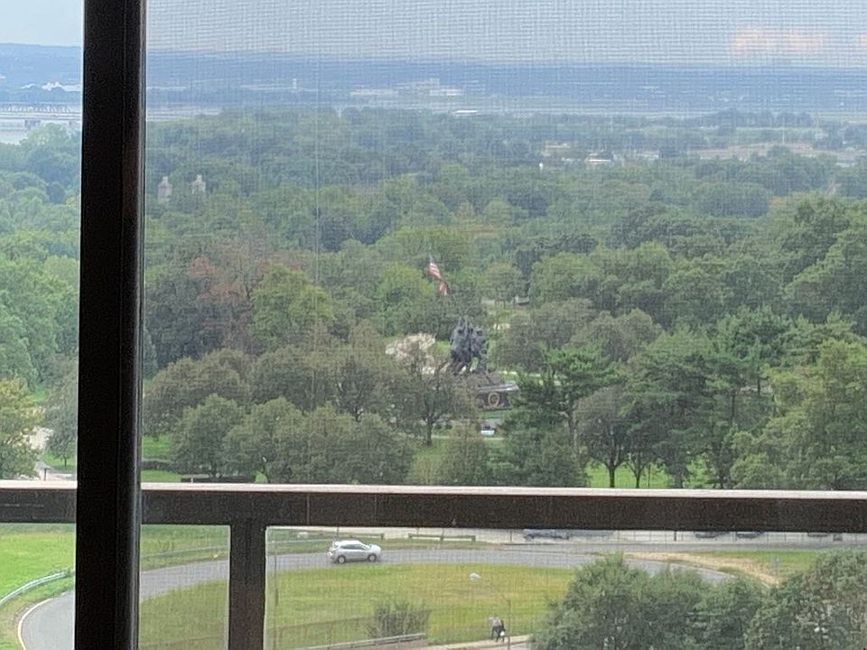 View from Family Room