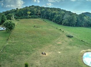 295 Jeroldstown Rd, Fall Branch, TN 37656