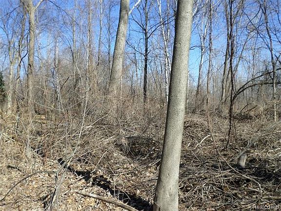 5th image of 50768 Otter Creek Dr
