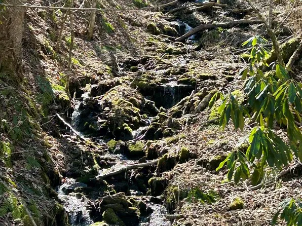 0 Wild Turkey Dr, Whittier, NC 28789