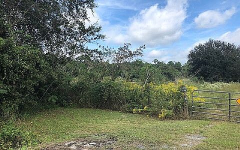 2nd image of 509 NW Rebel Pl