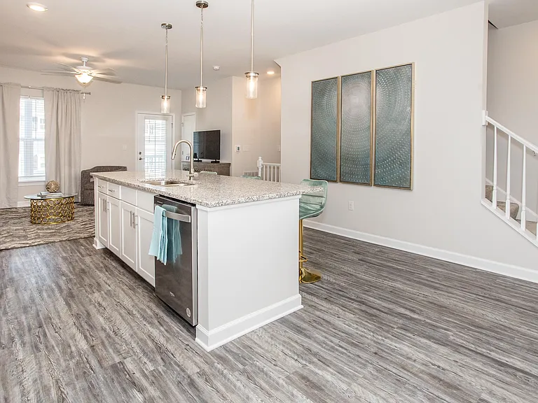 The Reserve at Rivington Townhome Rentals — Photo 8