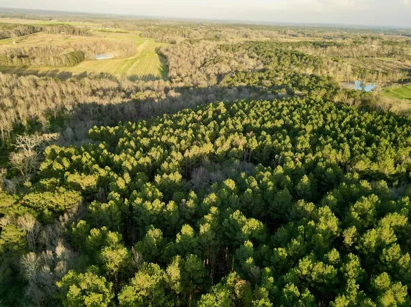 2467 County Road 2218, Glenwood, AL 36034