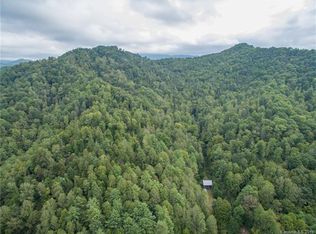 402 Pigeon Roost Rd, Green Mountain, NC 28740