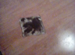 552 Roscoe Rd, Elizabethtown, NY 12932