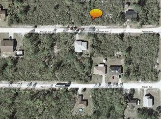 317 Pelican Ave, Sebring, FL 33870