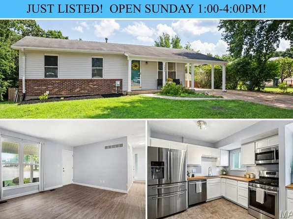 1424 Twin Trails Dr, Fenton, MO 63026