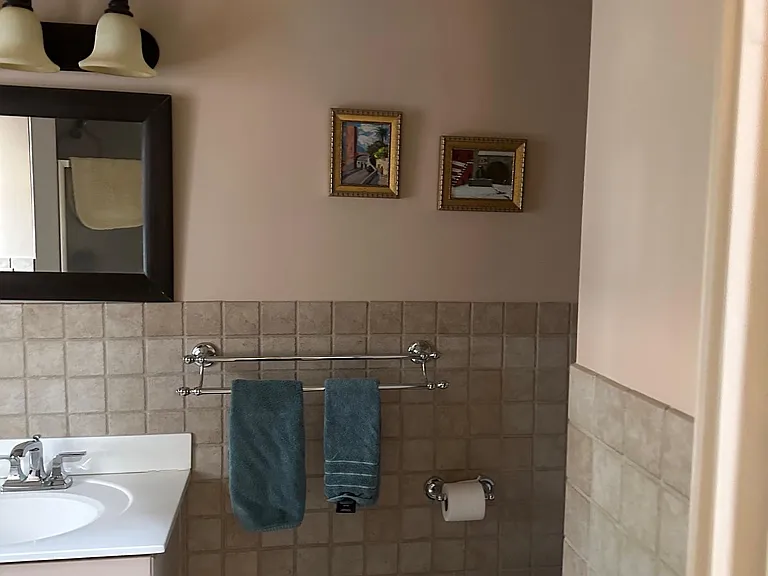 Downstairs Shower room