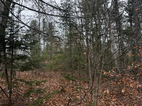 Lot 1 Gee Road, Palmyra, ME 04965
