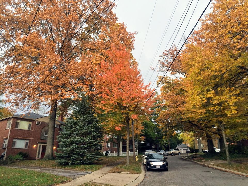 Quiet street in a diverse neighborhood