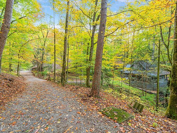 51st image of 205 Tobby Hollow Ln