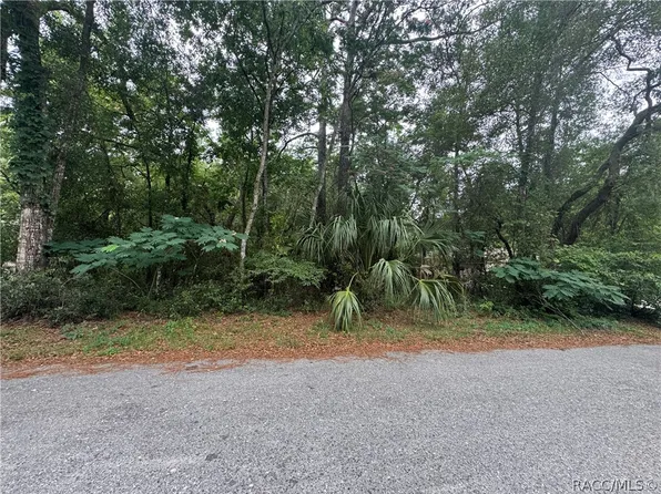 3462 E Michael St, Inverness, FL 34453