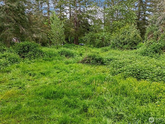 2nd image of 20707 Renton Maple Valley Road SE