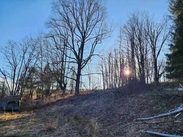 169 Wilma Lee Memorial Dr, Bowden, WV 26254