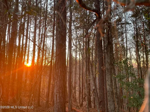 371 Low Water Ln SW, Brookhaven, MS 39601