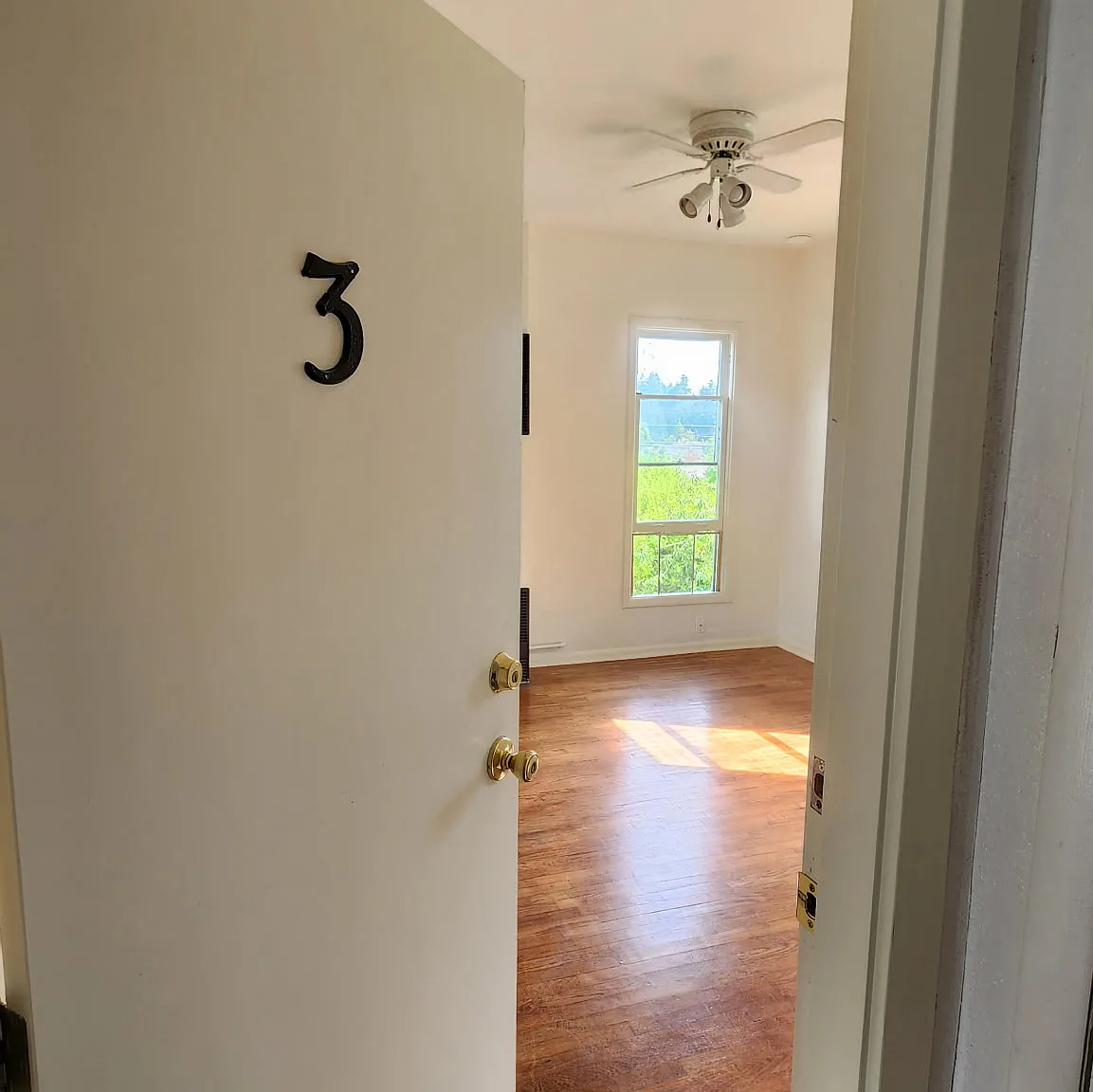 1 bed, 700 sqft, $1,175 — Photo 1