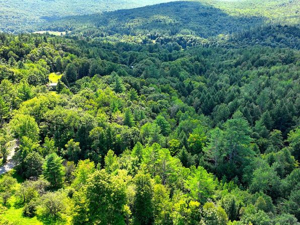 Goldcoast Road, Bridgewater, VT 05034