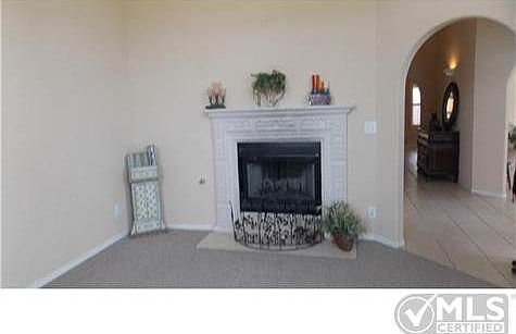 4th image of 4521 Lazy Willow Dr
