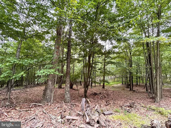 522 Clinton Dr, Baker, WV 26801