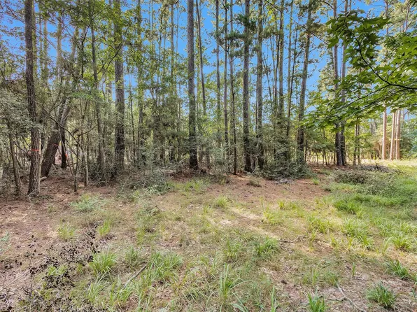 1505 Cheyenne Loop, Montgomery, TX 77316