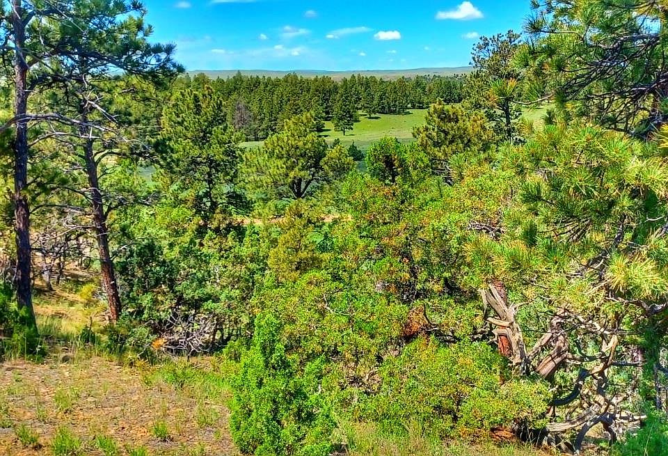 Oil Butte Cir, Moorcroft, WY 82721 MLS 76728 Zillow