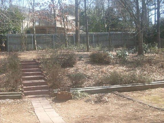 backyard view from kitchen/walk-out patio