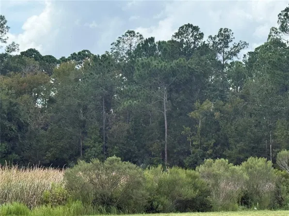 10855 W HOMOSASSA TRAIL LOT 8, HOMOSASSA, FL 34448