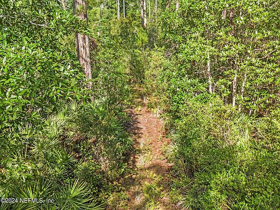2nd image of 0 WATER OAKS Road