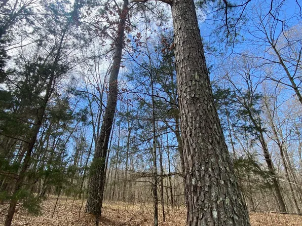 12 Wall Hill Farms Rd, Byhalia, MS 38611