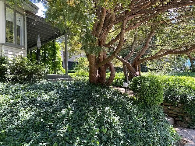 3452 Burch Ave — Photo 4