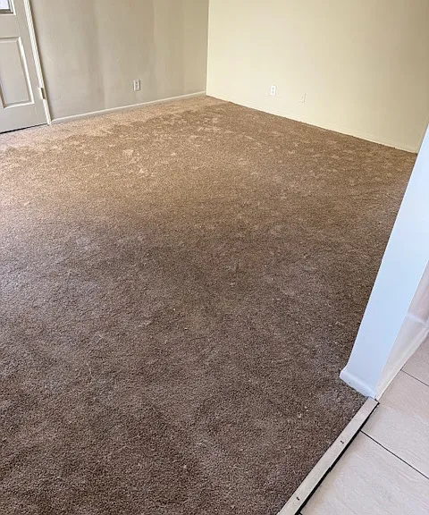 4711 Eagle Rock Blvd — Photo 3