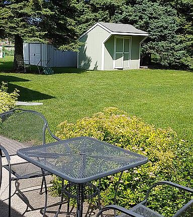 back yard