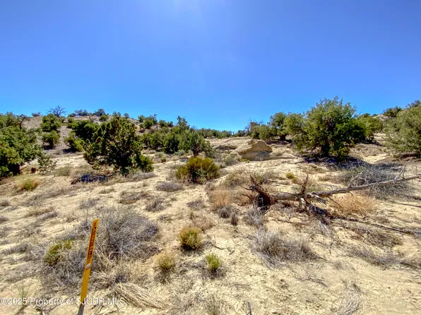 5525 Hood Mesa Trl, Farmington, NM 87401