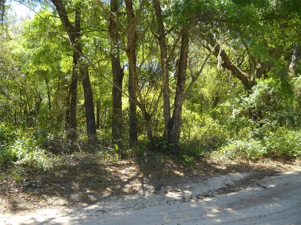 0 NE 161st St, Citra, FL 32113