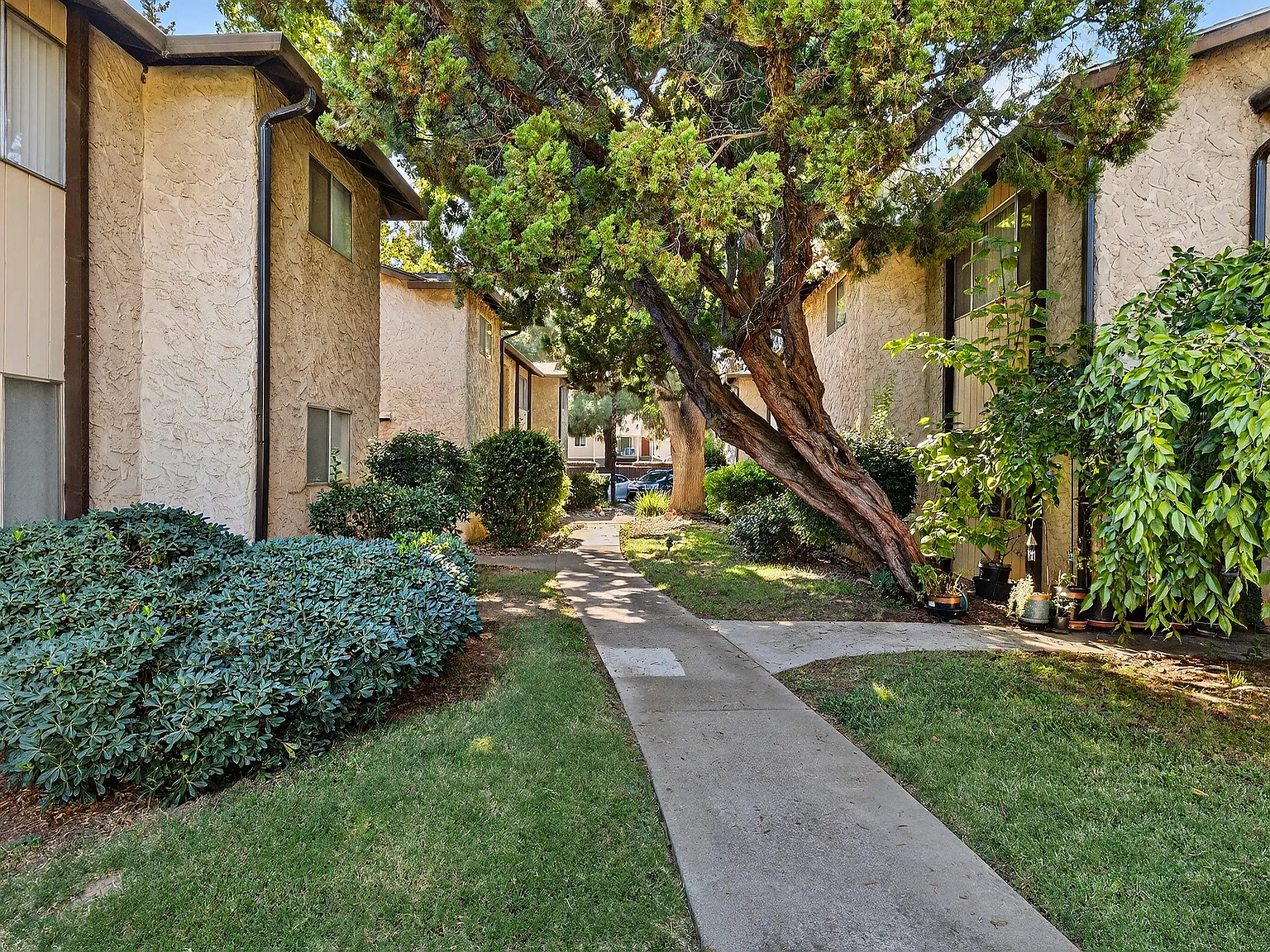 Whispering Trees Apartments — Photo 4