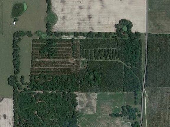 perfect pine covered retreat