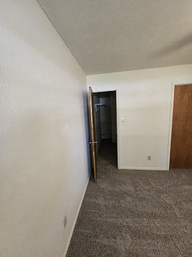 2904 Forest Bnd #1 — Photo 9