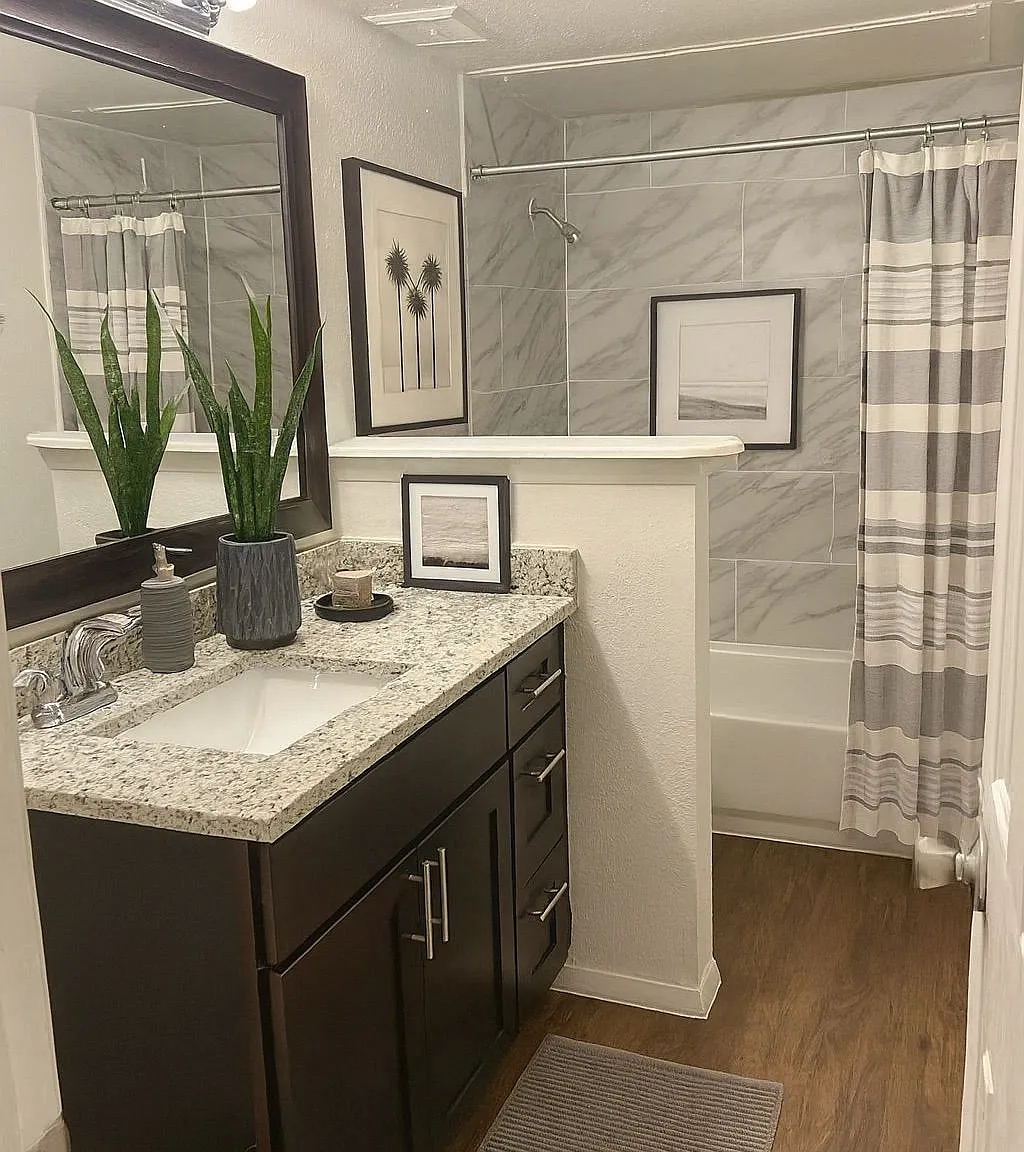 2 bed, 800 sqft, $1,250 — Photo 3