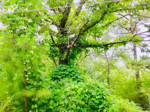 14548 Highway 280 Lot 1, Chelsea, AL 35043