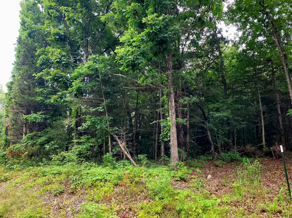Lot 1 Tate Rd, Ridgedale, MO 65739