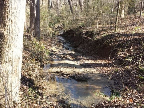 4th image of 0 Mossy Creek Ct