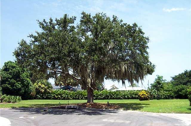 1st image of 0 Lantana Ln